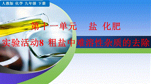 人教版九年級(jí)下冊(cè)化學(xué)實(shí)驗(yàn)活動(dòng)8粗鹽中難溶性雜質(zhì)的去除課件.pptx