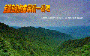 人美版一年級下冊美術22《珍貴的大熊貓》公開課課件（陜西部級優課）.pptx