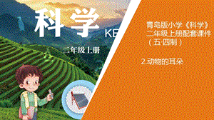 青島版二年級上冊科學12.動物的耳朵教學課件.ppt
