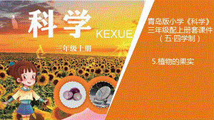 青島版三年級上冊科學(xué)5.《植物的果實(shí)》教學(xué)課件.pptx