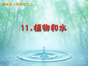 青島版二年級上冊科學11.植物和水 說課課件.pptx