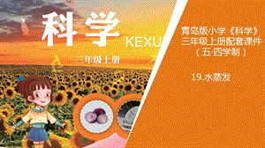 青島版三年級上冊科學19.《水蒸發》教學課件.ppt