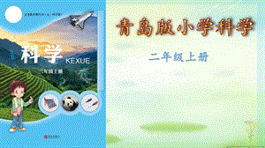 青島版二年級上冊科學7.春夏秋冬 上課課件.pptx