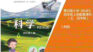 青島版四年級上冊科學1.《螞蟻》教學課件.pptx