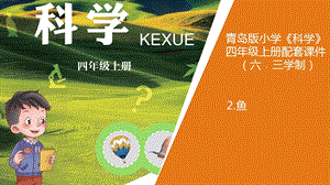 青島版四年級上冊科學2.《魚》教學課件.pptx