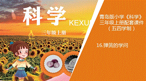青島版三年級上冊科學16.《彈簧的學問》教學課件.ppt