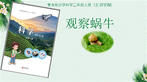 青島版二年級上冊科學4.觀察蝸牛說課課件.pptx