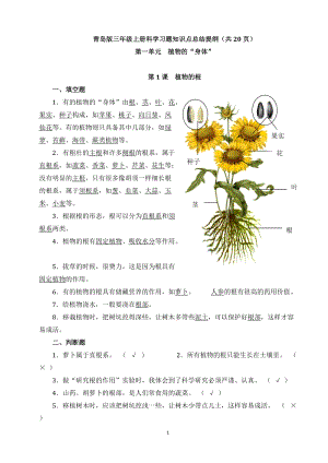 青島版三年級上冊科學(xué)習(xí)題知識點(diǎn)總結(jié)提綱（共20頁）.doc