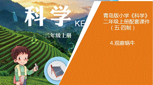 青島版二年級上冊科學4.觀察蝸牛教學課件.pptx