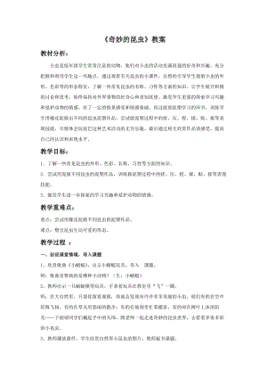 浙美版一年級下冊美術(shù)奇妙的昆蟲教案1.doc
