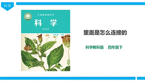 教科版四年級下冊科學2.5《里面是怎樣連接的》課件（24張PPT）.ppt