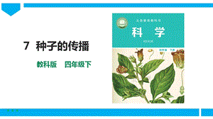 教科版四年級下冊科學1.7《種子的傳播》課件（24張）.pptx