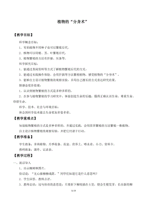 青島版（54制）三年級(jí)下冊(cè)科學(xué)教案14.植物的“分身術(shù)”.docx