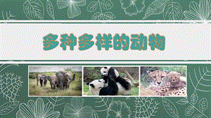 2021新教科版六年級下冊科學教學課件2.4.《多種多樣的動物》.pptx