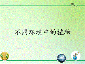 青島版（54制）三年級下冊科學課件15.不同環境中的植物.pptx