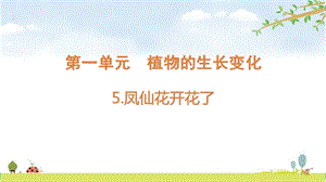 教科版四年級下冊科學1.5《鳳仙花開花了》課件（17張）.pptx