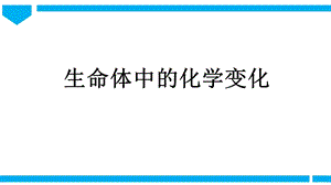 2021新教科版六年級下冊科學教學課件4.6《生命體中的化學變化》.pptx