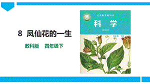 教科版四年級下冊科學1.8《鳳仙花的一生》課件（26張）.pptx