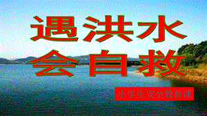 小學(xué)安全教育《預(yù)防和應(yīng)對(duì)洪水中自救》公開(kāi)課課件（甘肅省級(jí)優(yōu)課）.pptx