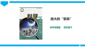 蘇教版四年級下冊科學(xué)3.9《龐大的“家族”》課件（30張PPT）.pptx