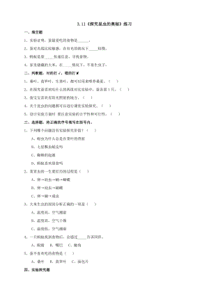 蘇教版四年級下冊科學3.11《探究昆蟲的奧秘》練習（含答案）.doc