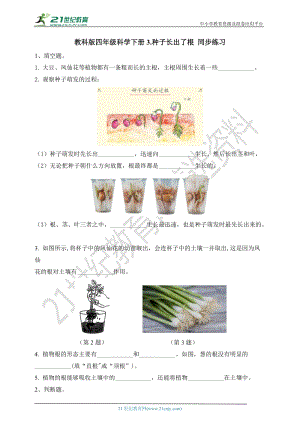 教科版四年級科學下冊1.3種子長出了根 同步練習題（含答案）.doc