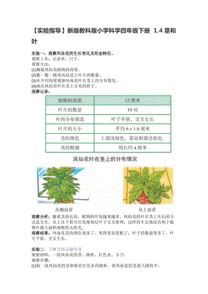 教科版（2017秋）小學(xué)科學(xué)四年級(jí)下冊(cè)1.4莖和葉【實(shí)驗(yàn)指導(dǎo)】.doc