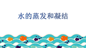 教科版五年級下冊科學4.2水的蒸發和凝結教學課件.pptx