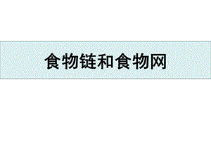 教科版五年級下冊科學課件1.6食物鏈與食物網（共15張PPT）.pptx