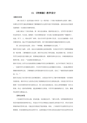 青島版（五四制）三年級下冊科學13.種辣椒教學設計.doc
