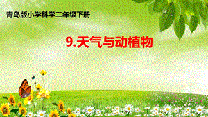 青島版二年級(jí)下冊(cè)科學(xué)青島版二年級(jí)下冊(cè)科學(xué)9.天氣與動(dòng)植物 課件.pptx
