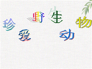 浙教版小學(xué)人自然社會(huì)四年級(jí)第8課珍愛野生動(dòng)物課件（41張ppt）.ppt