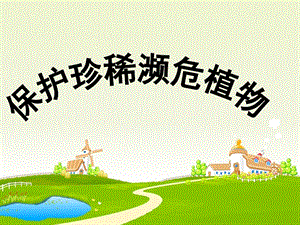 浙教版小學(xué)人自然社會四年級第7課保護(hù)珍稀瀕危植物課件（16張ppt）.ppt
