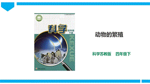 蘇教版四年級下冊科學(xué)4.14《動物的繁殖》課件（31張PPT）含視頻素材.pptx