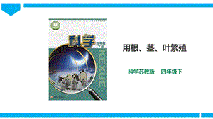 蘇教版四年級(jí)下冊(cè)科學(xué)4.13《用根、莖、葉繁殖》課件（28張PPT）含視頻素材.pptx