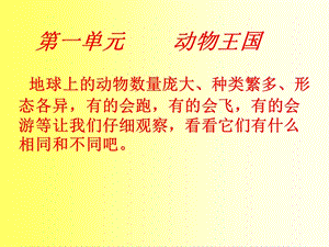 青島版四年級上冊科學(xué)1.螞蟻 課件.ppt