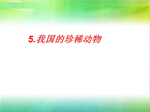 青島版四年級上冊科學(xué)5.我國的珍稀動物 課件.ppt