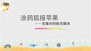 新世紀版五年級上冊信息技術第10課涂鴉狐接蘋果課件.ppt