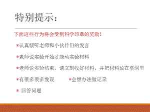 蘇教版一年級下冊科學(xué)1《石頭》課件（陜西部級優(yōu)課）.pptx