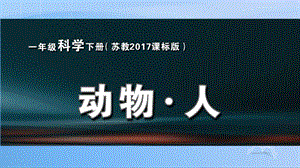 蘇教版一年級下冊科學12動物人課件（遼寧部級優課）.pptx