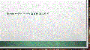 蘇教版一年級下冊科學(xué)7《找空氣》課件（陜西部級優(yōu)課）.pptx