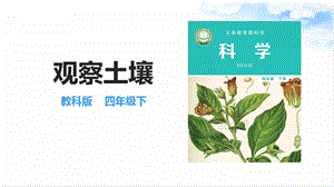 教科版四年級(jí)下冊(cè)科學(xué)3.6觀察土壤 試題 課件.ppt