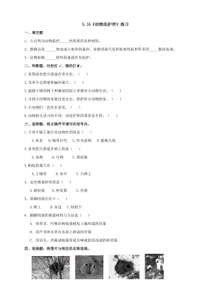 蘇教版四年級(jí)下冊(cè)科學(xué)5.16《動(dòng)物的庇護(hù)所》練習(xí)題（含答案）.doc
