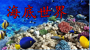 部編版三年級下冊語文23《海底世界》課件（遼寧縣級優課）.pptx