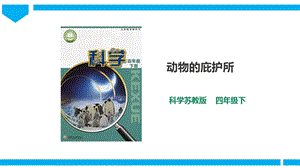蘇教版四年級(jí)下冊(cè)科學(xué)5.16《動(dòng)物的庇護(hù)所》課件（31張PPT）.pptx