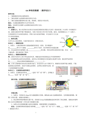 滬科版八年級物理4.6《神奇的眼睛》教案（邵老師重慶省級優(yōu)課）.doc