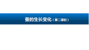 人教鄂教版（2017版）四年級下冊科學7.蠶的生長變化（第二課時）-課件.pptx