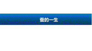 人教鄂教版（2017版）四年級下冊科學8-蠶的一生-課件.pptx