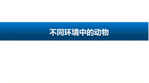 人教鄂教版（2017版）四年級下冊科學11不同環境中的動物-課件.pptx