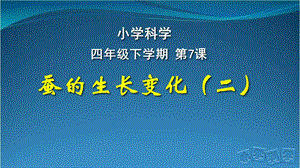 人教鄂教版四年級下冊科學7.蠶的生長變化（二）課件.pptx